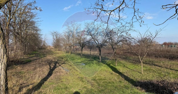 Teren 2,300mp Petresti / Strada Lacramioarei