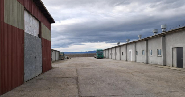 Hala industriala versatila,spatii cazare, platforma betonata