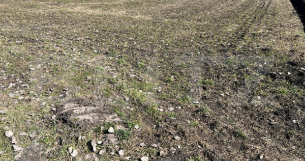 Teren de 11200mp cu potențial pentru investiții &icirc;n Bonți