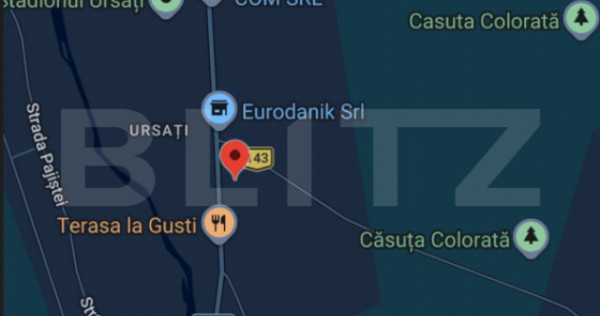 Spatiu comercial de inchiriat, 60 mp Ursati