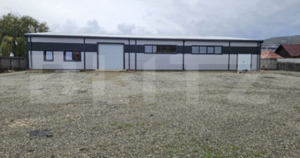 Vanzare Hale industriale