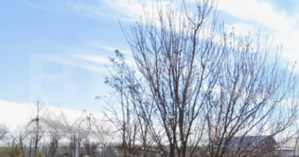 Teren 500 mp intravilan investitie, Malu Mare