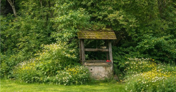 Domeniu verde autentic, 5.000mp, front la DJ, Valcele, Bra