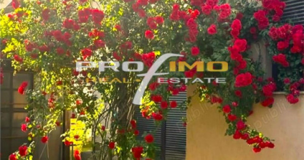 LAZU vila P M, deosebita, ideala familie, 4 camere, facilita