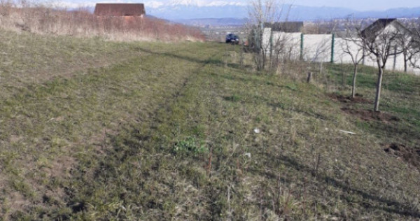 Teren intravilan Sura Mare 550mp