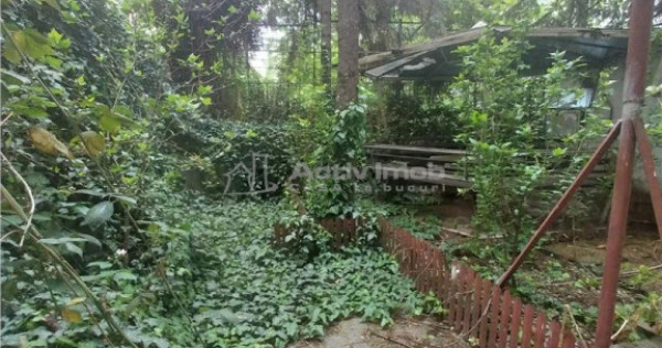 Vila Cismigiu Stirbei Voda- Berzei