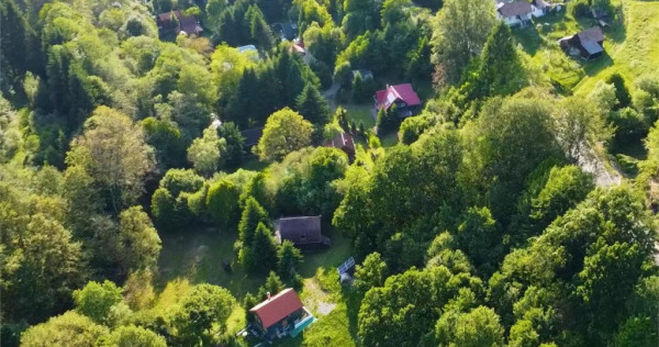 FILM!Casa Cabana 2.000 mp teren in miracolul naturii autent