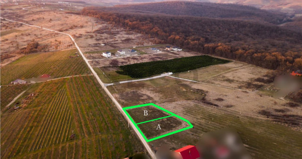 RECO Teren intravilan in Saldabagiu de Munte