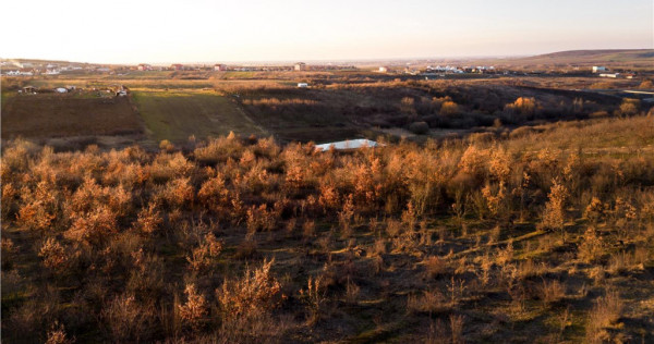 RECO Teren Intravilan 5305mp Paleu