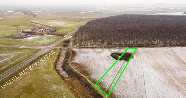 RECO Teren extravilan Nojorid langa Inelul Metropolitan