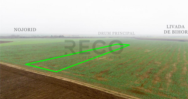 RECO Teren extravilan 5800 mp Livada de Bihor
