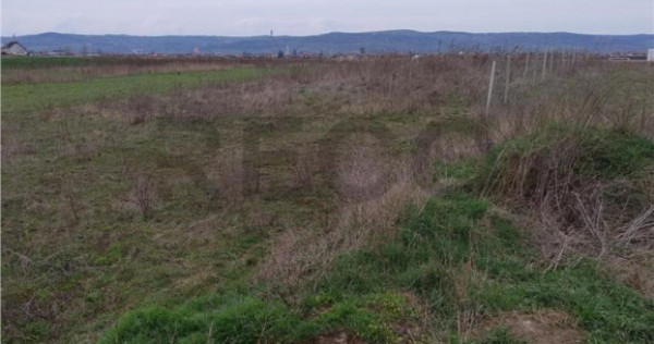 RECO Teren intravilan, Livada de Bihor