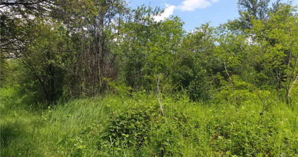 Teren extravilan Episcopia Bihorului