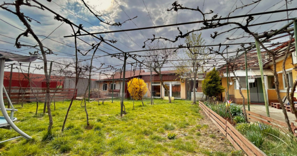 Casă de &icirc;nchiriat, 61.40 mp + 480 mp teren - Episcopia Bi