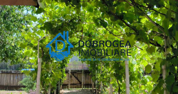 CATALOI - CASA 3 CAMERE, SUPRAFATA 76,50 MP, TEREN 2250 MP