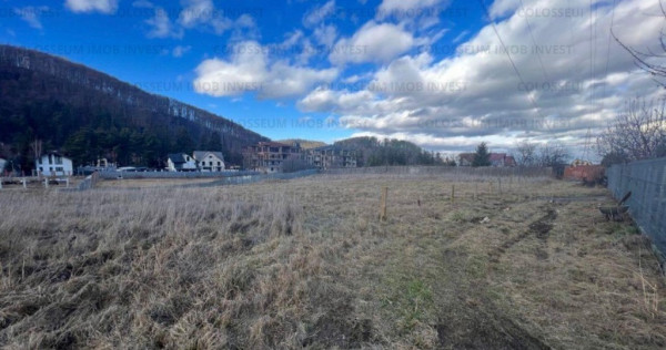 Teren intravilan, cu certificat de urbanism - Bunloc/Sacele