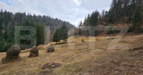 Teren extravilan 11.480 mp cu potențial intravilan &ndash; Tr&acirc;