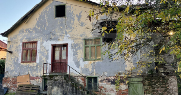 Teren Buziaș, l&acirc;ngă parc