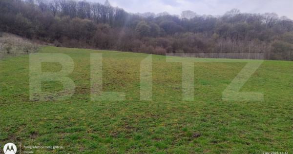 Teren superb 2.500 mp &icirc;n Nicula &ndash; liniște, natură și p