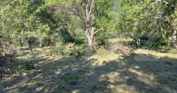 Teren intravilan 4.175 mp &icirc;n Inuri &ndash; ideal cabană/casă