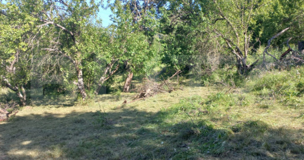 Teren intravilan 4.175 mp &icirc;n Inuri &ndash; ideal cabană/casă