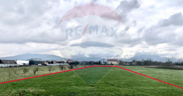 COMISION 0% | Teren intravilan | 3545 MP | Oportunitate d...