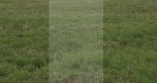 Teren intravilan, 685 mp, zona Cismea - Botosani