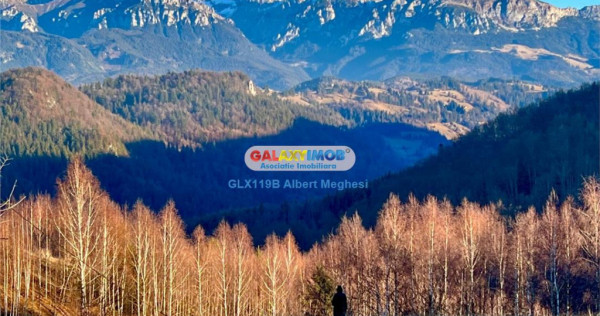 Teren intravilan 10818 mp , 47 ml la DN 73 Moieciu de Jos