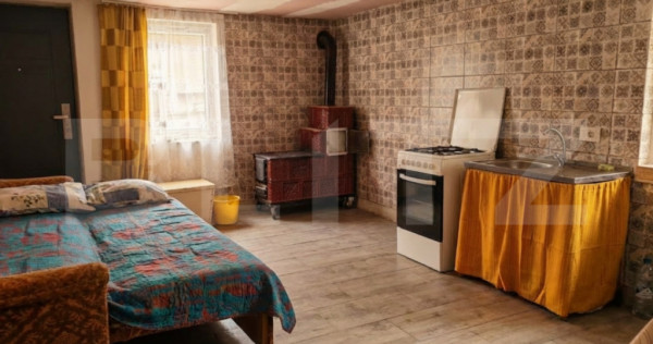 Casă cu 1.2 ha teren, liniște totală, livadă, acces asfa