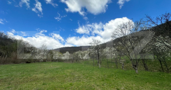 Teren 1 ha l&acirc;ngă casă, acces asfalt, zonă liniștită, B