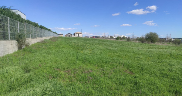 Teren extravilan, 8600 mp, Centura de Nord