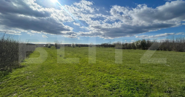 TEREN | RANCACIOV | 2000 MP | 700 INTRAVILAN |