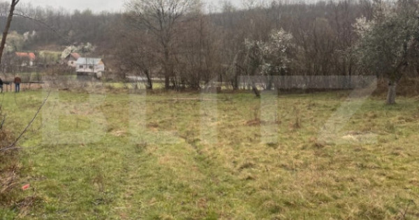 Teren extravilan de vanzare, 2.900 mp, in sat Sintesti, comu
