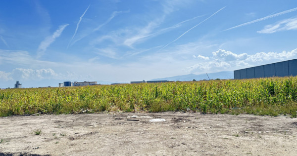 Teren cu PUZ aprobat 9000mp - Industrial Vest