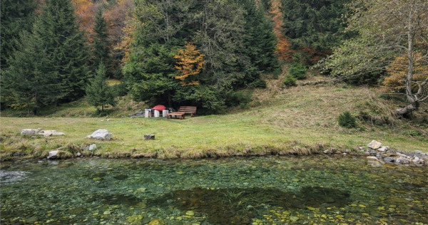 Teren intravilan panoramic 4.600mp,view iconic Piatra Craiul