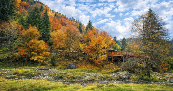 Teren intravilan panoramic 4.600 mp, view iconic Piatra Crai