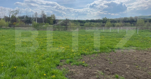 Teren intravilan, 10 ari, sat Domnesti