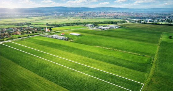 FILM! Teren intravilan 7.850 mp, Chilieni, Sfantu Gheorghe