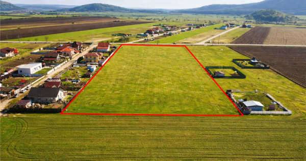 FILM! Domeniu urban, 18.200mp, cu planuri validate, Bod, Bra