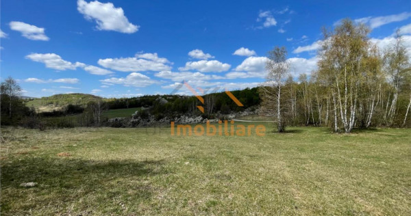 TEREN EXTRAVILAN | 103.000mp | BALANACA-GROSI | PASUNE | PAS