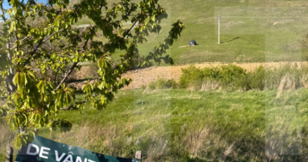 Teren intravilan 3.300 mp, deschidere 26 ml &ndash; Băiceni, Cu