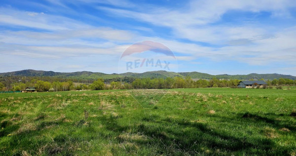 Teren 10,000mp Nemtisor / DJ 155C