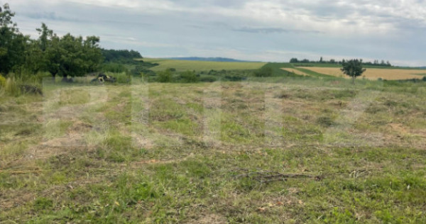 Teren 500 mp intravilan Valea Ursului