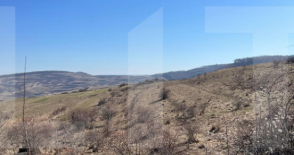 Oportunitate de Investiție - 4100 mp intravilan in Borhanci