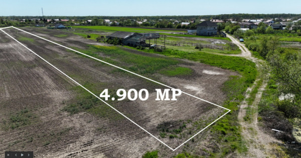 CIOLPANI, LOT 4.900 MP!