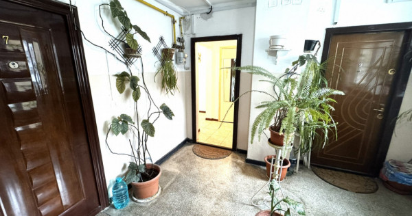 De inchiriat apartament 2 camere, Nord, Judetean, Cameliei