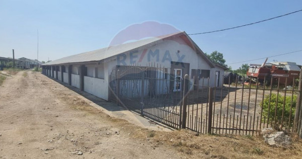 Hala de productie moderna de vanzare in Ulmeni