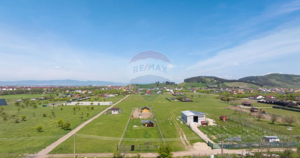Teren 1300 mp | Sanpetru | zona Livada