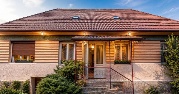 FILM!Doua case traditionale,pe domeniu cu peste 5.000mp tere