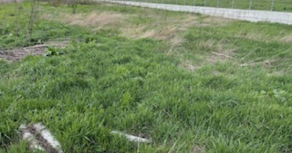 22euro/mp, teren intravilan,6min Metro, ideal investitie, PO